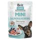 Brit Care Mini влажный корм для собак 8 x 85 г - лосось и сельдь 100914/100219/4449 фото 1