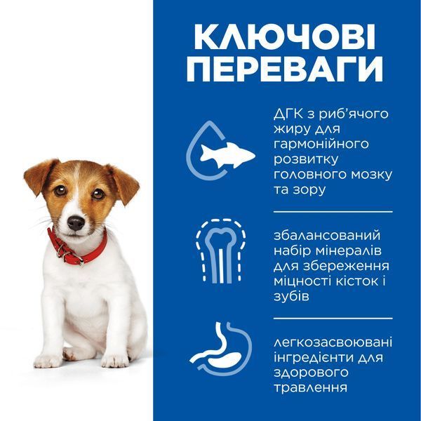 Hill&rsquo;s Science Plan Smal&Mini Puppy сухий корм для цуценят 300 г - ягня та рис 606588 фото