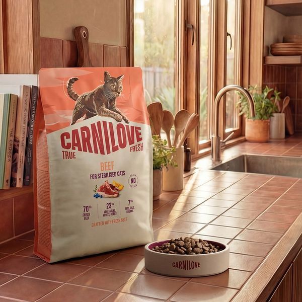 Carnilove True Fresh сухой корм для котят 2 кг - говядина 173758 фото