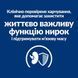 Hill&rsquo;s Prescription Diet Kidney Care k/d сухий корм для котів 1,5 кг - курка 607647 фото 6