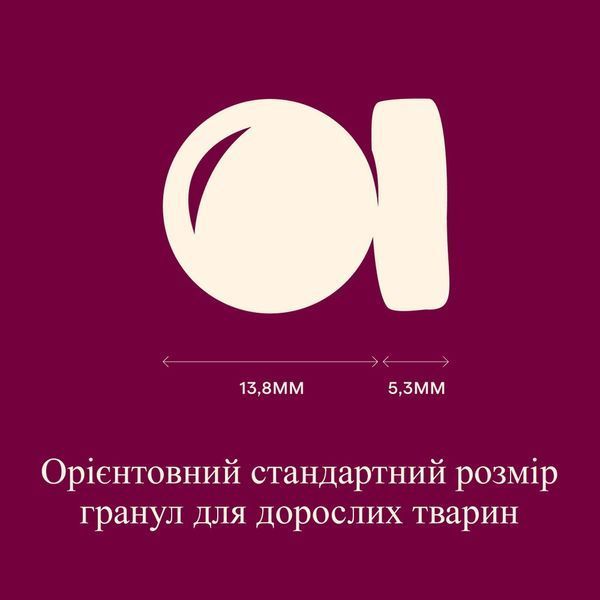 Carnilove Active All Breed Adult сухий корм для собак 4 кг - лосось та індичка 173689 фото