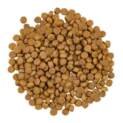 Savory Adult Gourmand Hair & Skin Care сухой корм для кошек 8 кг - лосось и белая рыба 30037 фото