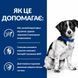 Hill's Prescription Diet Digestive Care i/d Mini сухой корм для собак 1 кг - курица 606379 фото 5