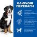 Hill&rsquo;s Science Plan Large Breed Adult сухий корм для собак 14 кг - ягня та рис 607638 фото 2