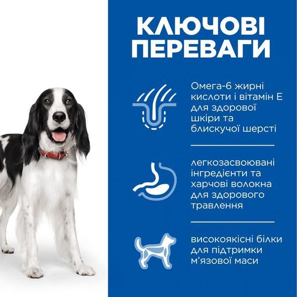 Hill&rsquo;s Science Plan Medium Breed Adult сухой корм для собак 2,5 кг - курица 604274 фото