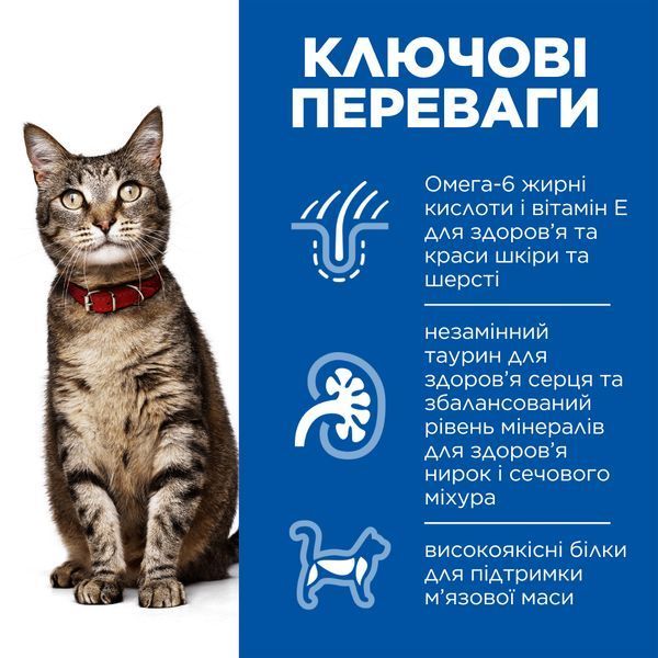 Hill's Science Plan Adult сухий корм для котів 300 г - ягня 604065 фото