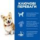 Hill&rsquo;s Science Plan Small&Mini Adult сухий корм для собак 1,5 кг - курка 607654 фото 2