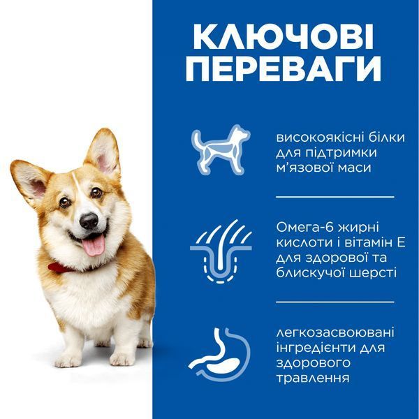 Hill&rsquo;s Science Plan Small&Mini Adult сухий корм для собак 300 г - ягня та рис 604234 фото