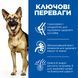 Hill&rsquo;s Science Plan Large Mature Adult сухой корм для собак 14 кг - курица 604371 фото 2