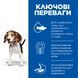 Hill&rsquo;s Science Plan Medium Breed Puppy сухий корм для цуценят 2,5 кг - ягня та рис 604270 фото 2