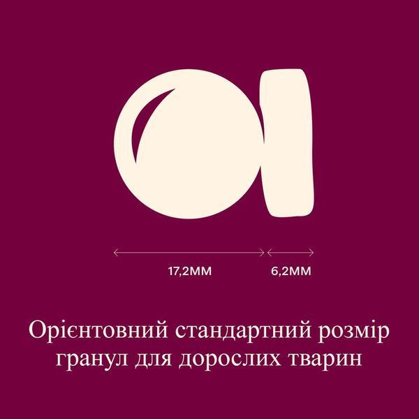 Carnilove Active Large Breed сухой корм для собак 4 кг - лосось и индейка 173695 фото
